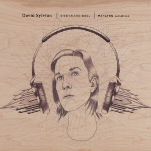 David Sylvian - Died In The Wool (Manafon Variations)