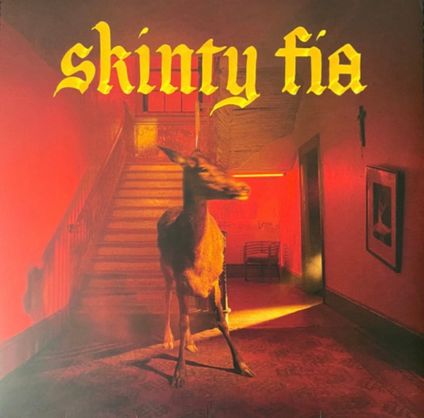 Fontaines D.C. – Skinty Fia