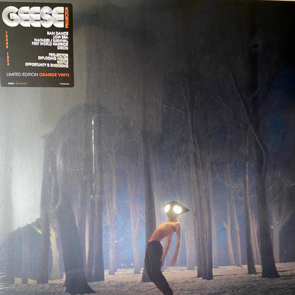Geese – Projector