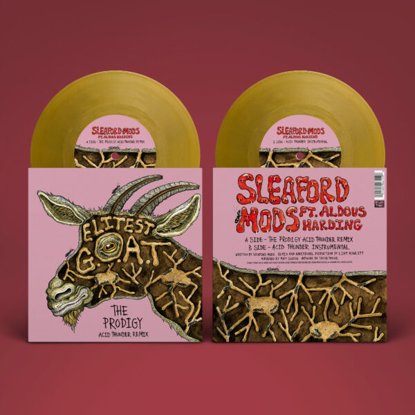 Sleaford Mods - "The Demise Of Planet X" . Indie Exclusive 7" Gold Vinyl-